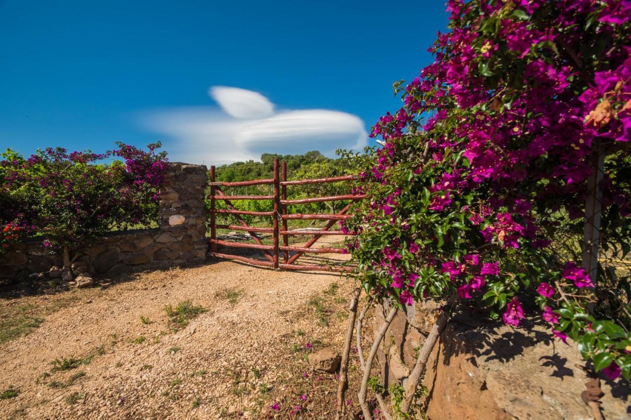 Sa Tanca 'E Pedduzza Villa Orosei Exterior foto